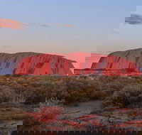 3-Day Uluru Camping Tour from Alice Springs Including Kata Tjuta and Kings Canyon - Tweed Heads Accommodation