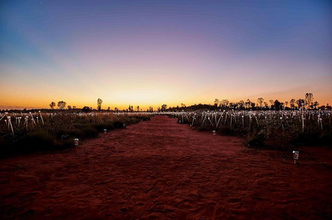 Uluru & Kata Tjuta Sights & Sounds - Tweed Heads Accommodation 16