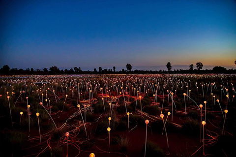 Uluru & Kata Tjuta Sights & Sounds - Tweed Heads Accommodation 8