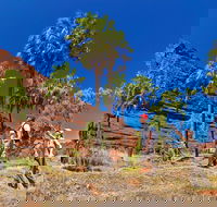 Palm Valley 4WD Tour from Alice Springs - Tweed Heads Accommodation