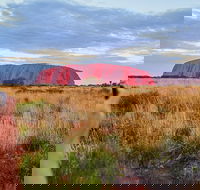 2-Day Uluru Ayers Rock National Park Explorer Trip from Alice Springs - Tweed Heads Accommodation