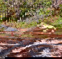 Litchfield National Park Day Tour from Darwin With Waterfalls And Buley Rockhole - Tweed Heads Accommodation