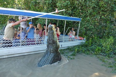 Jumping Croc Cruise - Tweed Heads Accommodation 1