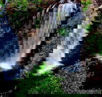 Litchfield Dreams 1 Day National Park Waterfall Swimming  Jumping Croc Cruise - Tweed Heads Accommodation