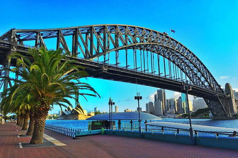 Half Day In Sydney With A Local: Private & Personalized - Tweed Heads Accommodation 10