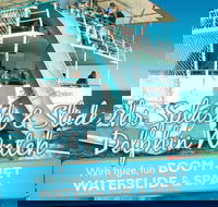 Port Stephens Dolphin Watching Cruise Including Splash and Slide - Tweed Heads Accommodation