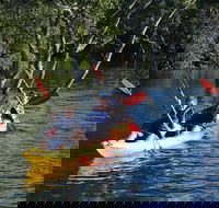 Kayak and SUP Guided Tours - Tweed Heads Accommodation