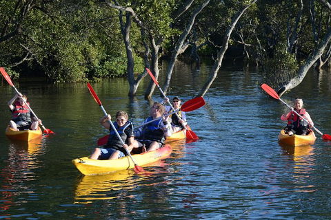Kayak And SUP Guided Tours - Tweed Heads Accommodation 0