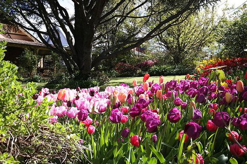 Spring Gardens In The Blue Mountains Private Tour Limited Time Only - Tweed Heads Accommodation 0