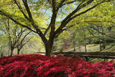 Spring Gardens In The Blue Mountains Private Tour Limited Time Only - Tweed Heads Accommodation 1