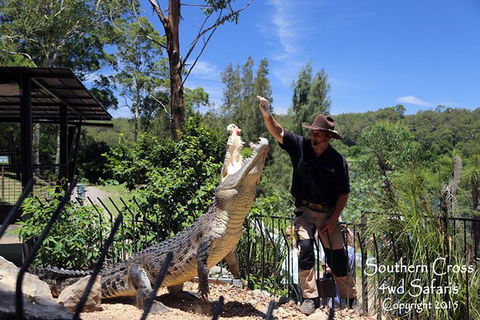 Private Shoalhaven Zoo Experience From Sydney - Tweed Heads Accommodation 0