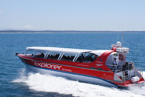 Whale Watching Jervis Bay - Tweed Heads Accommodation 1