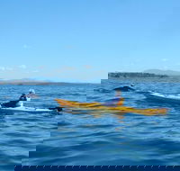 Whale Watching by Sea Kayak in Batemans Bay - Tweed Heads Accommodation