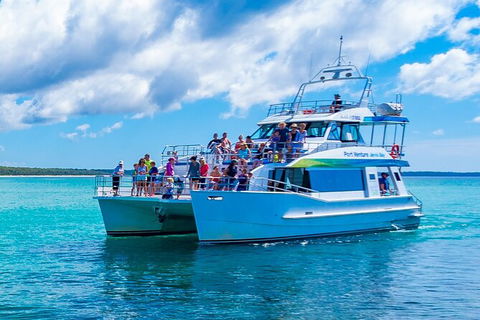 Jervis Bay Whale Watching Tour - Tweed Heads Accommodation 2