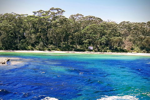 Jervis Bay Passage Tour - Tweed Heads Accommodation 1