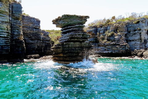 Jervis Bay Passage Tour - Tweed Heads Accommodation 15
