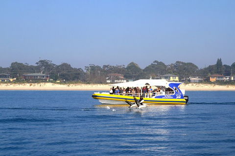 Jervis Bay Passage Tour - Tweed Heads Accommodation 16
