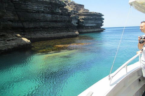 Jervis Bay Passage Tour - Tweed Heads Accommodation 14