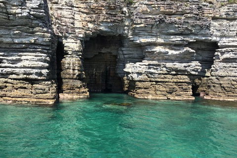 Jervis Bay Passage Tour - Tweed Heads Accommodation 13