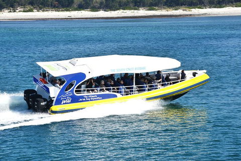 Jervis Bay Passage Tour - Tweed Heads Accommodation 11