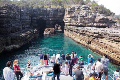 Jervis Bay Passage Tour - Tweed Heads Accommodation 3