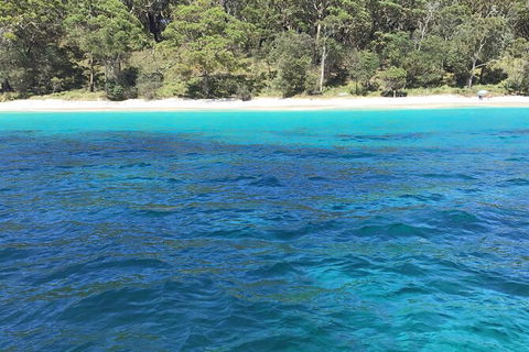 Jervis Bay Passage Tour - Tweed Heads Accommodation 5