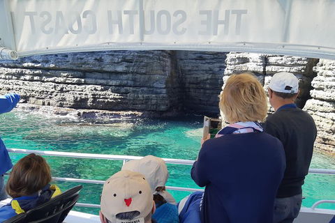 Jervis Bay Passage Tour - Tweed Heads Accommodation 7