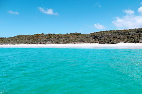 Jervis Bay Passage Tour - Tweed Heads Accommodation 10