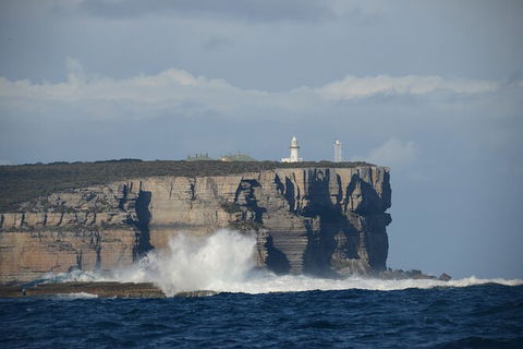 Jervis Bay Passage Tour - Tweed Heads Accommodation 8