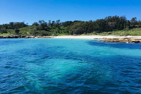Jervis Bay Passage Tour - Tweed Heads Accommodation 2