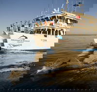 Jervis Bay Dolphin Watch Cruise - Tweed Heads Accommodation