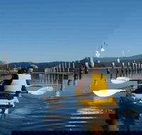 Batemans Bay Oyster Tasting Kayak Tour - Tweed Heads Accommodation
