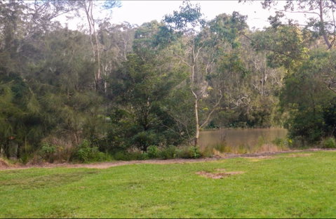 Bakers Flat Picnic Area - Tweed Heads Accommodation 0