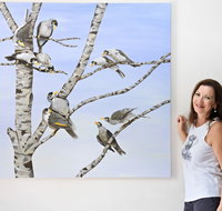 Bingara Gallery