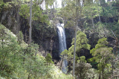 Bindaree Falls - Tweed Heads Accommodation 0
