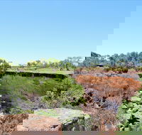 Bladensburg National Park - Tweed Heads Accommodation