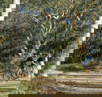Bundanoon cycling route - Tweed Heads Accommodation