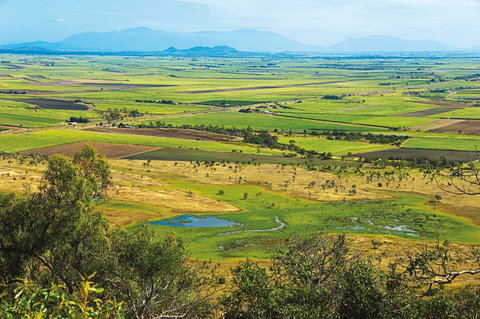 Burdekin - Tweed Heads Accommodation 1