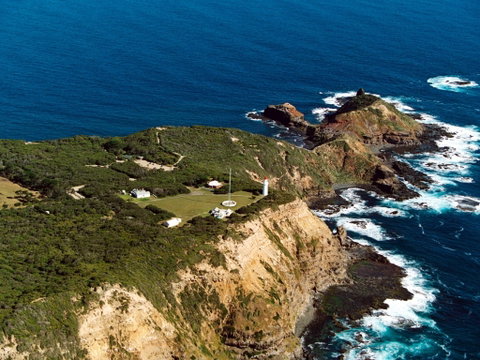 Cape Schanck Lighthouse Reserve - Tweed Heads Accommodation 0
