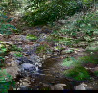 Cascades picnic area - Tweed Heads Accommodation