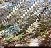 Cascades walking track and viewing platform - Tweed Heads Accommodation