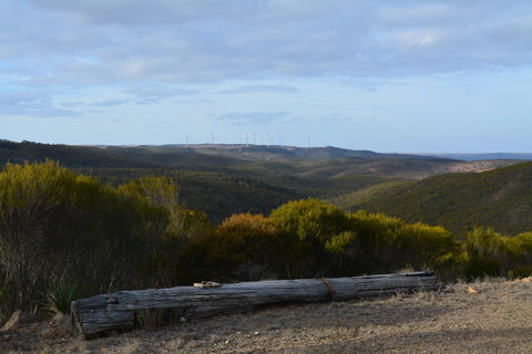 Cleve Hills Scenic Drive & Lookout - Tweed Heads Accommodation 0