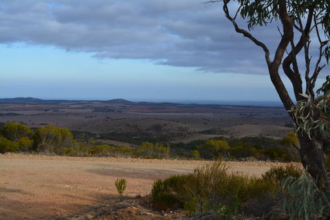 Cleve Hills Scenic Drive & Lookout - Tweed Heads Accommodation 1