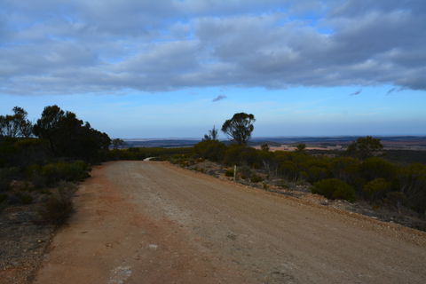 Cleve Hills Scenic Drive & Lookout - Tweed Heads Accommodation 2