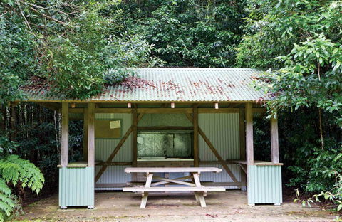 Coachwood Picnic Area - Tweed Heads Accommodation 0
