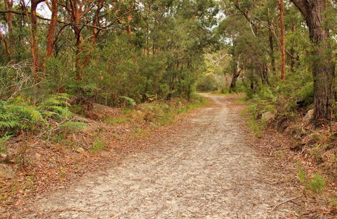 Daleys Point Walking Track - Tweed Heads Accommodation 0