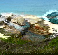 Diamond Head Loop Walk - Tweed Heads Accommodation