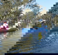 Doodle Cooma Swamp - Tweed Heads Accommodation