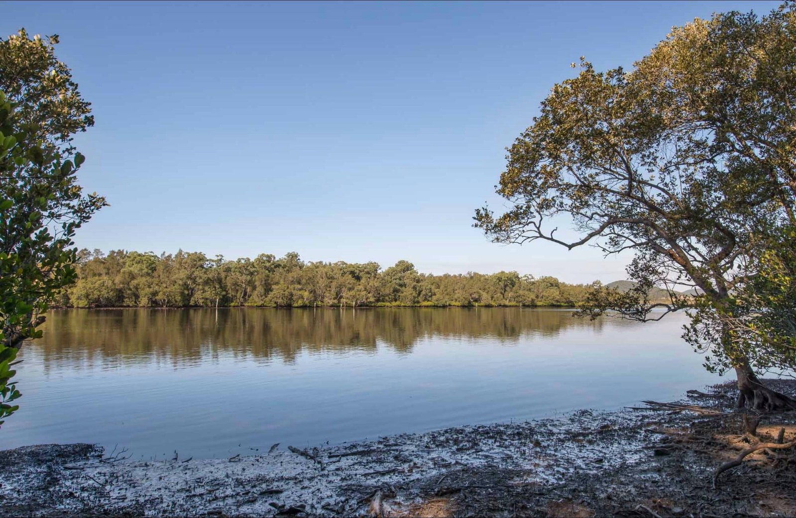 Limeburners Creek NSW Tweed Heads Accommodation