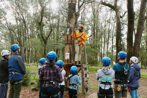 Forest Adventures South West - Tweed Heads Accommodation 0